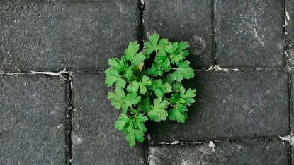 Casino Deposit Win Aip Soghluaiste